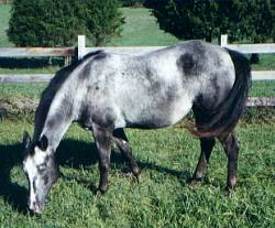 CEDARCROFT FARM